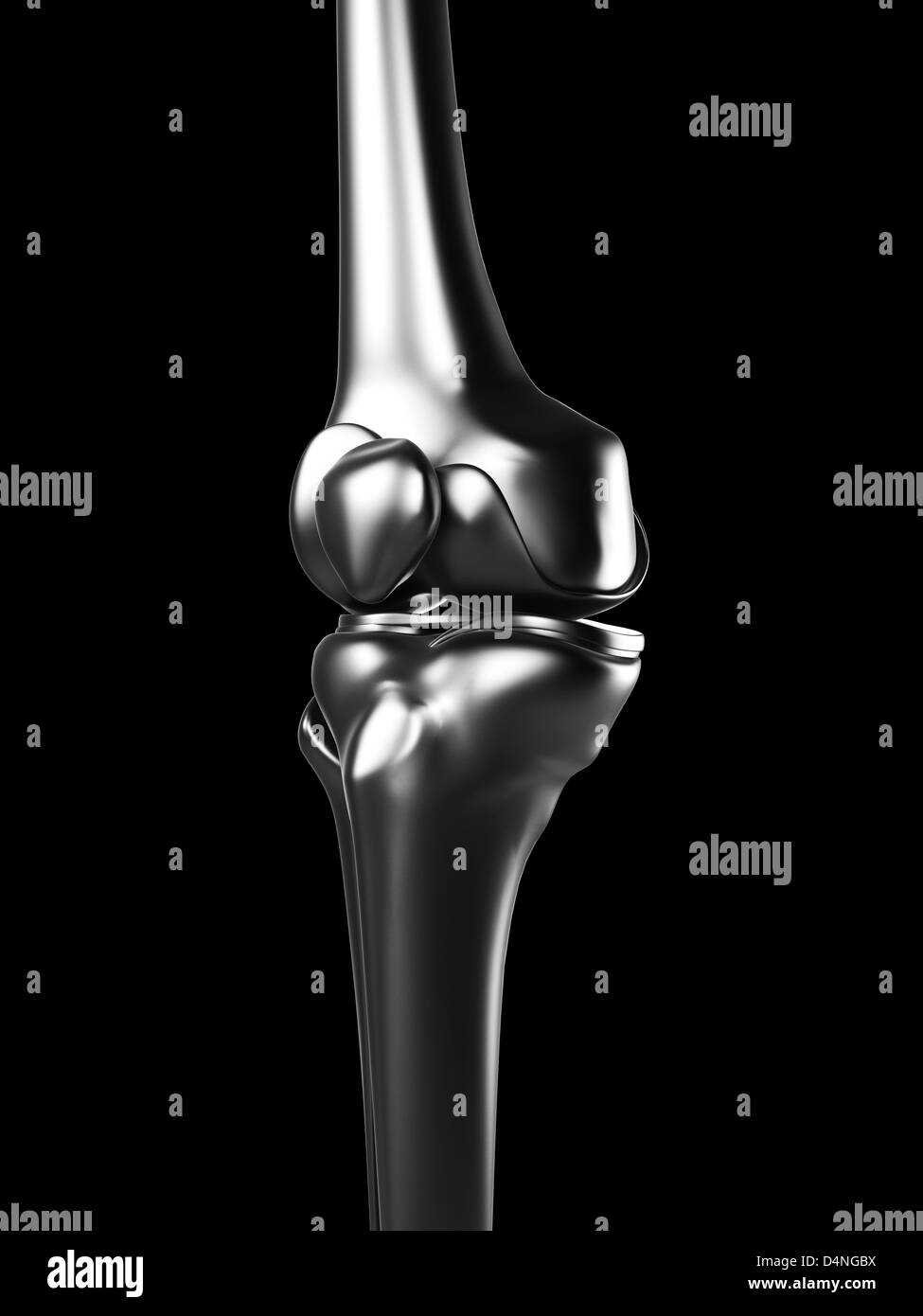 Metal knee Stock Photo