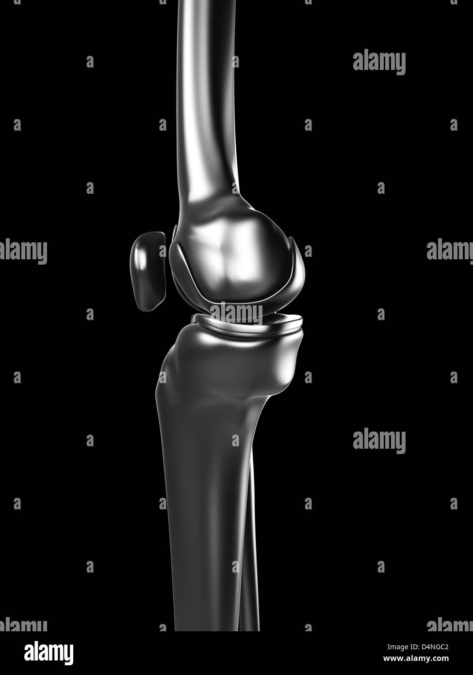 Metal knee Stock Photo