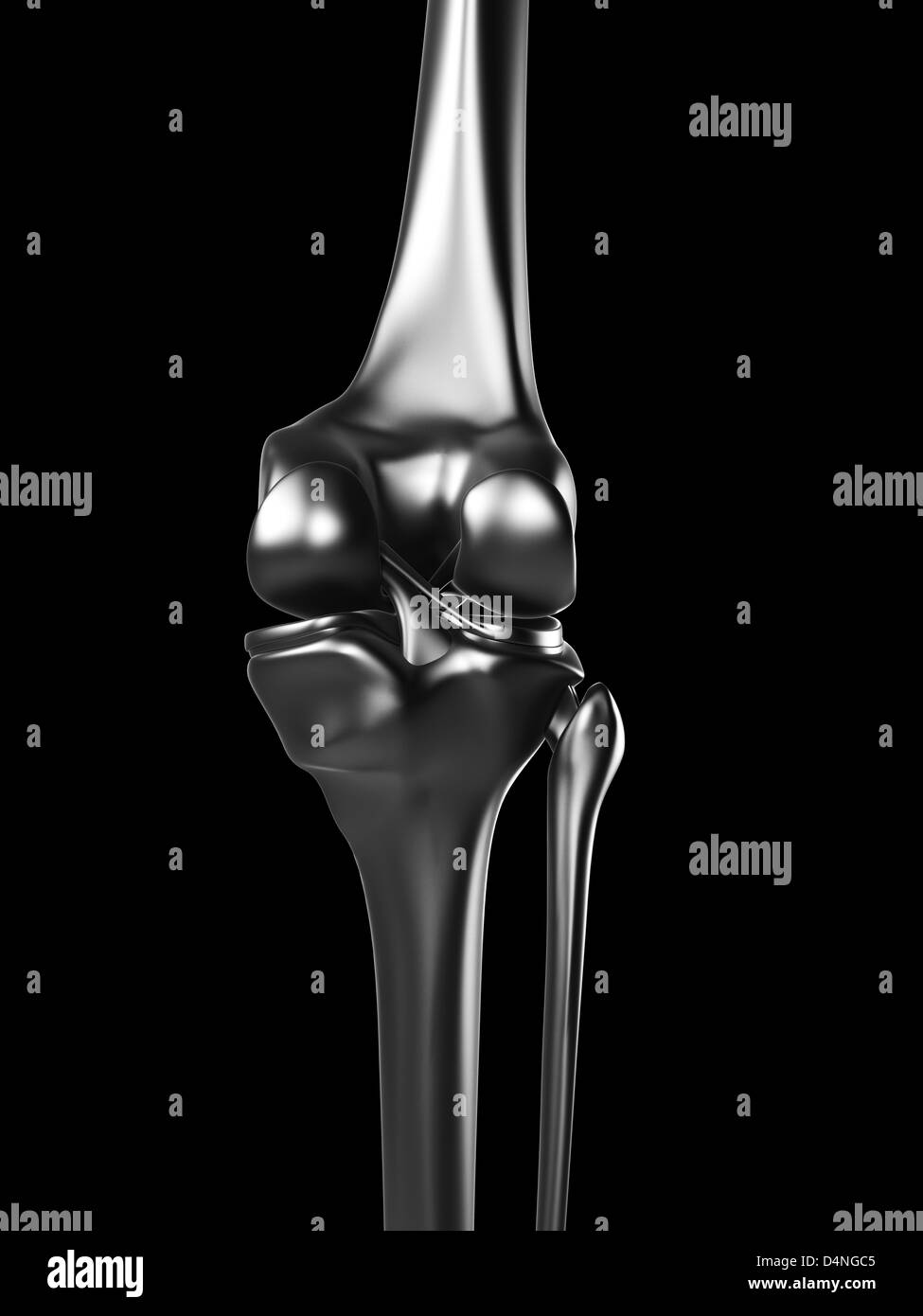 Metal knee Stock Photo