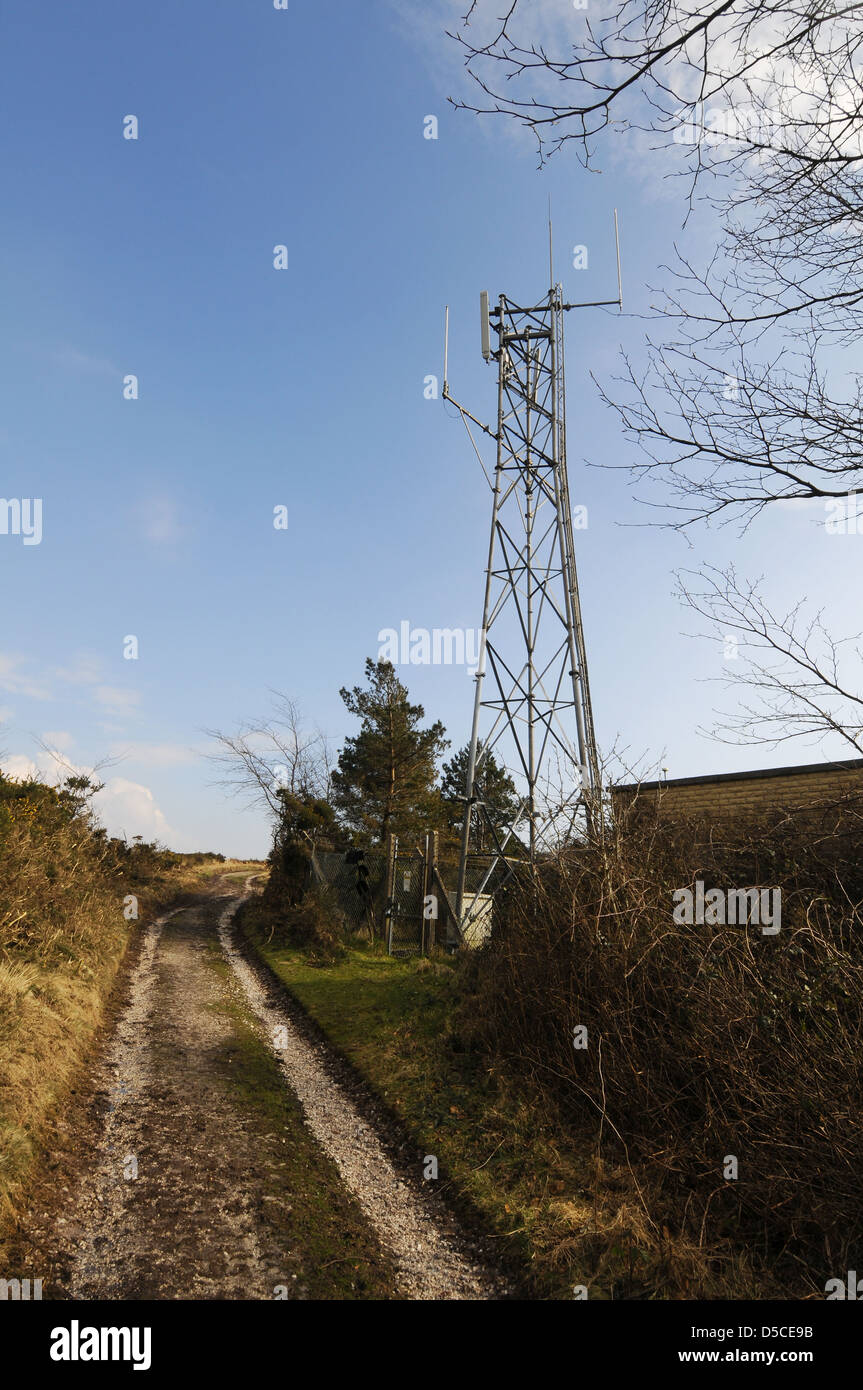 Mobile phone mast in the countryside, Britain, UK Stock Photo