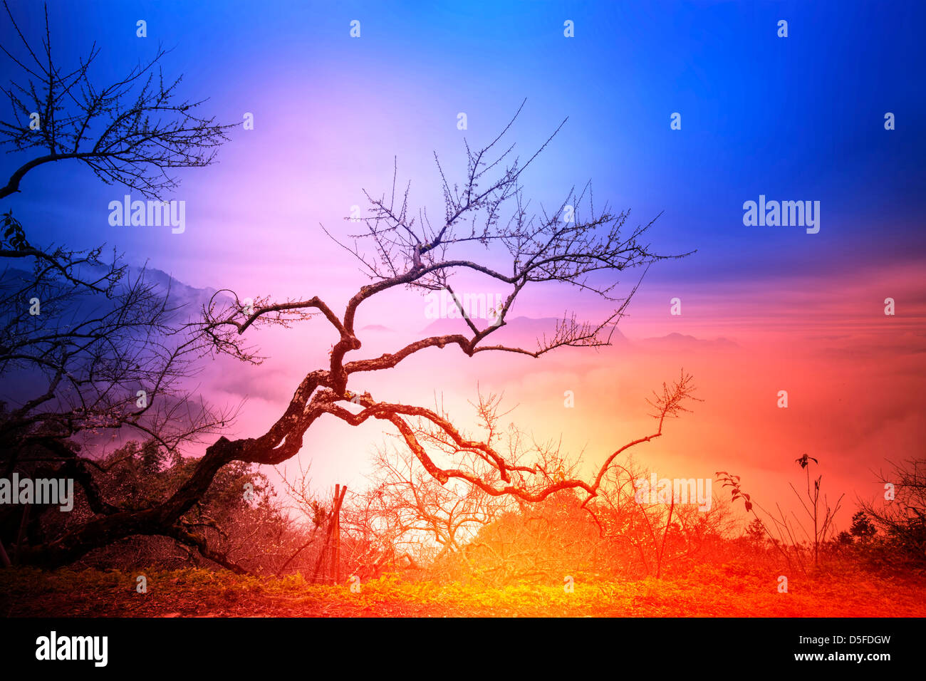 Nice background hi-res stock photography and images - Alamy