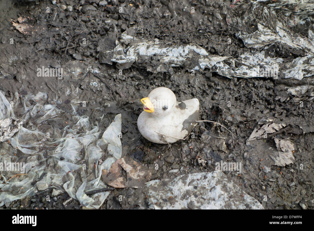 An old and faded plastic / rubber duck toy in a muddy puddle Stock Photo