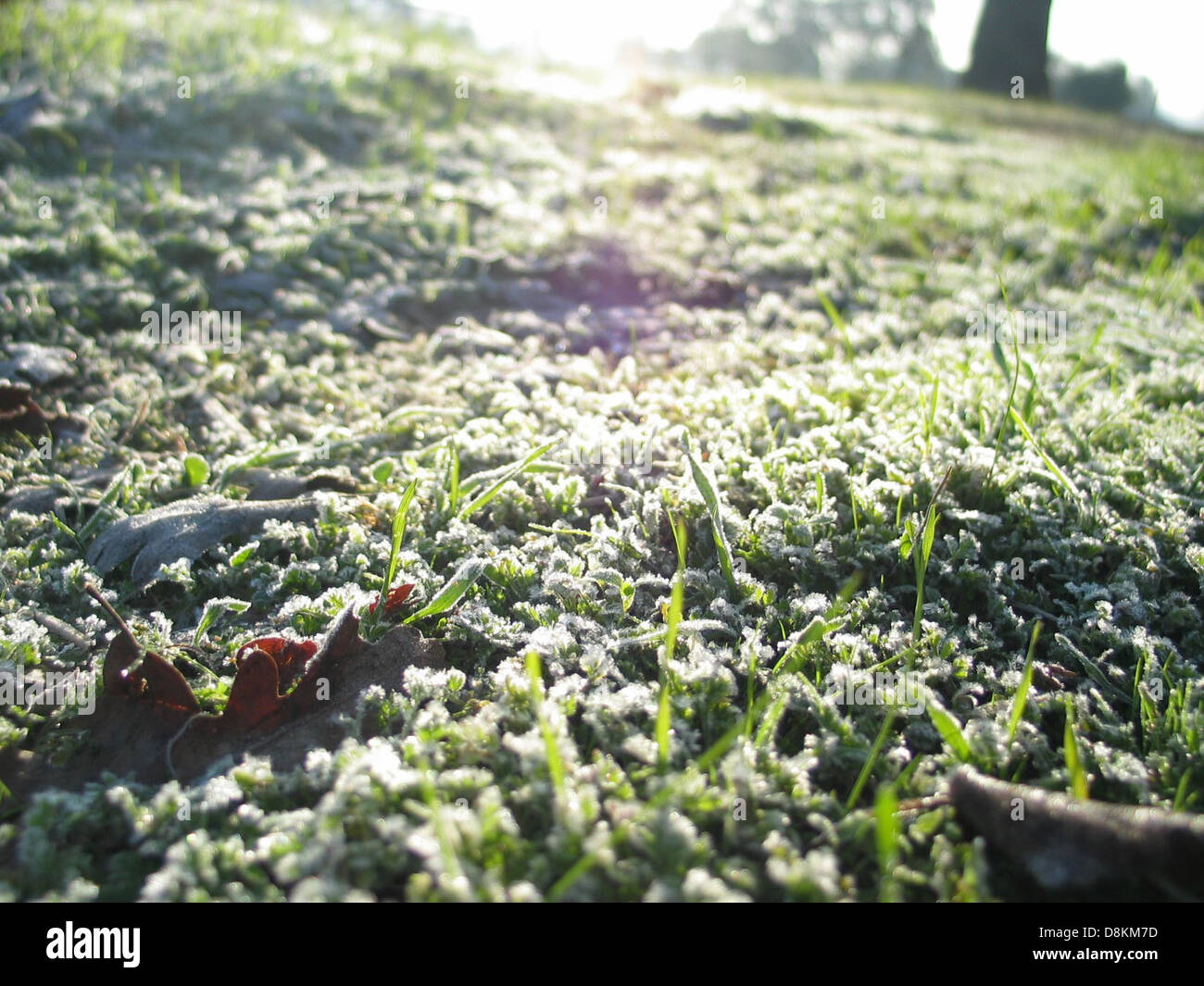 Atascadero landscape. Stock Photo