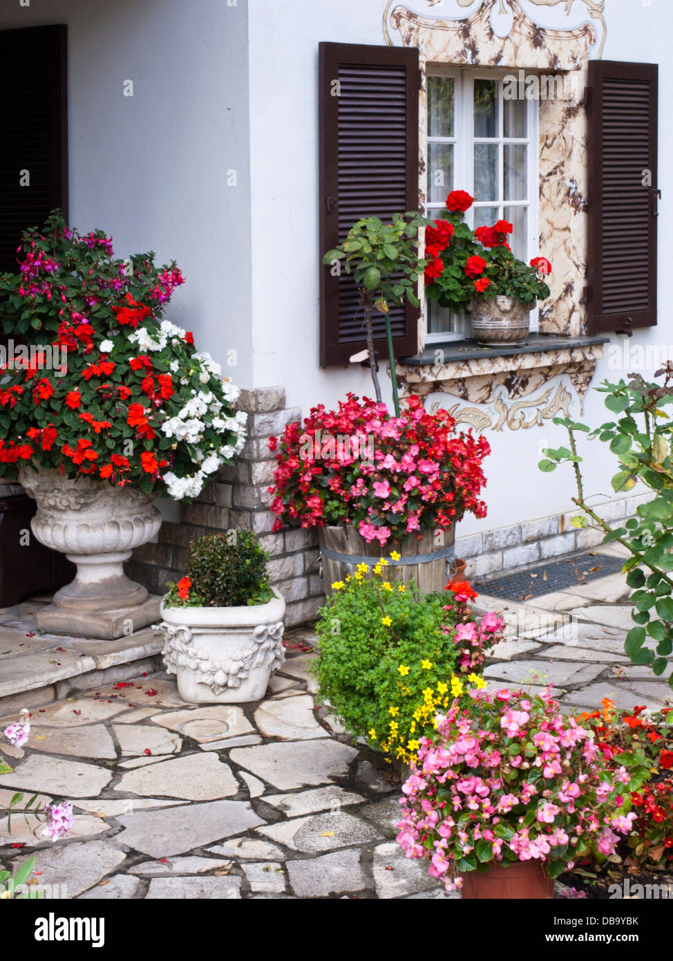 Fuchsias (Fuchsia), buzy Lizzies (Impatiens walleriana), begonias (Begonia tuberosa) and pelargoniums (Pelargonium) Stock Photo