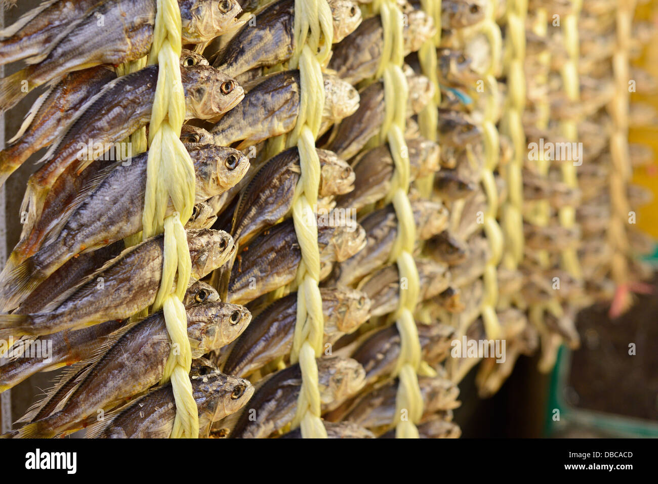 Dried fish at Gwangjang Market in Seoul, South Korea. Stock Photo