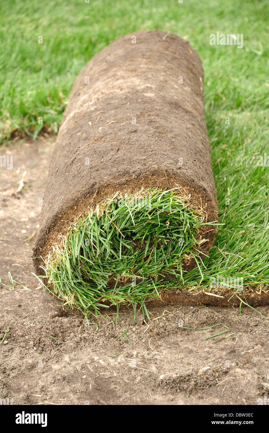 Laying new grass lawn turf Stock Photo