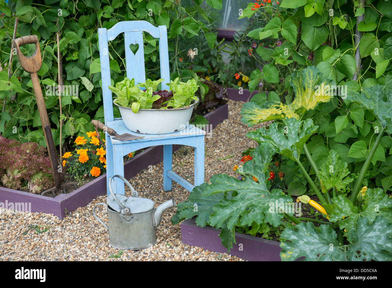 Small potager garden with old reclaimed chair with enameled basin planted with lettuces Stock Photo