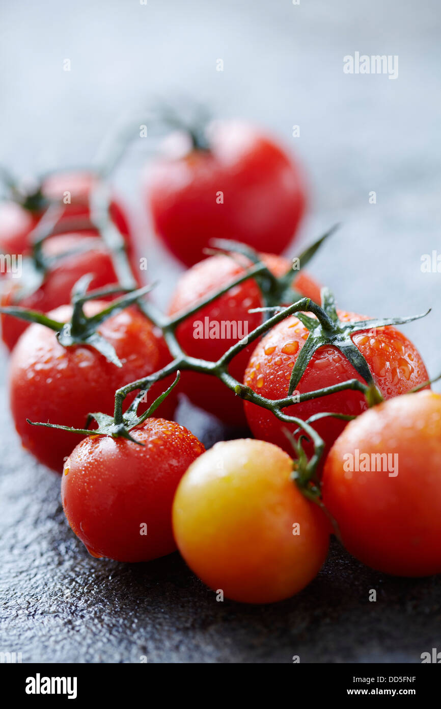 tomato vine Stock Photo