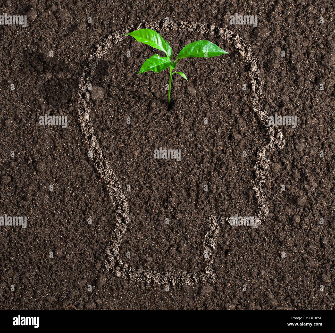 young growth of idea inside of human head contour on soil concept Stock Photo