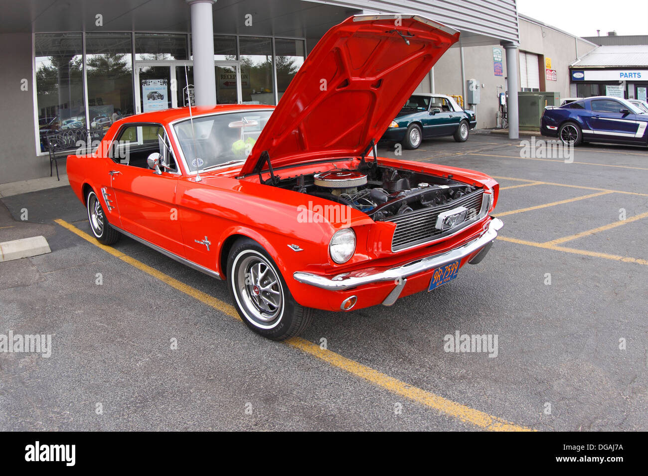 Classic Ford car show Long Island New York Stock Photo