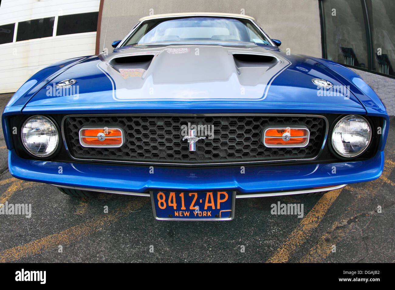 Classic Ford Mustang Mach 1 Long Island New York Stock Photo