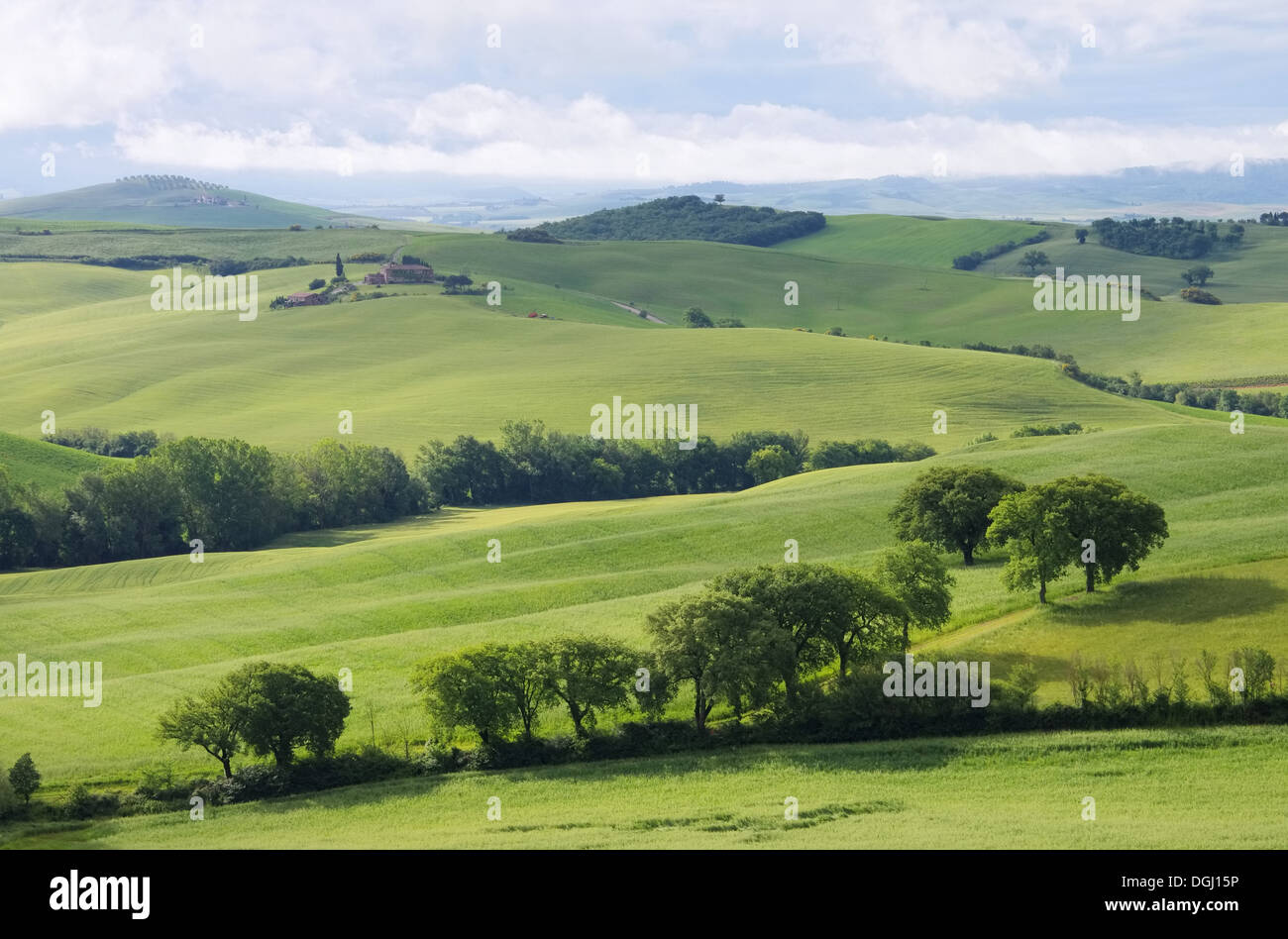 Toskana Huegel - Tuscany hills 60 Stock Photo