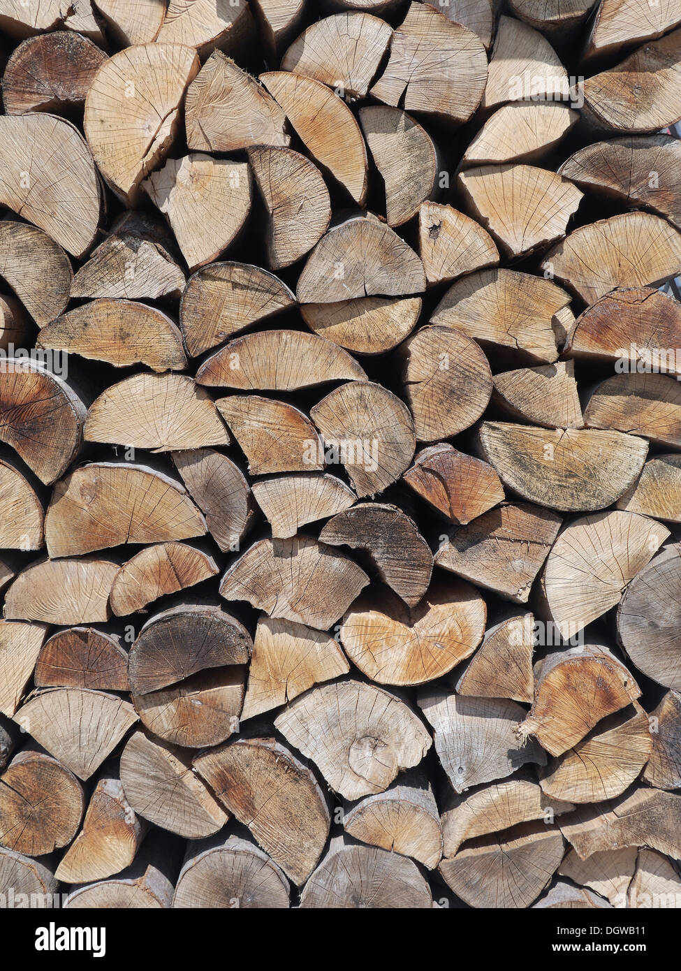 Pile of chopped beech firewood Stock Photo