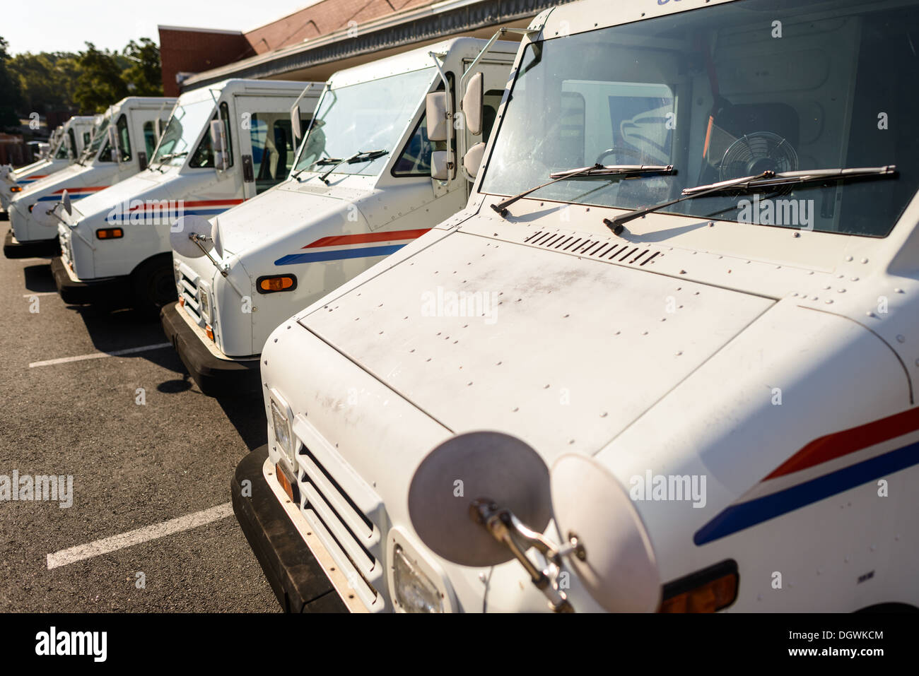 UNITED STATES -- A neat row of iconic white United States Postal Service trucks stands parked outside a post office, their distinctive blue eagle logo clearly visible. This scene captures the essence of the USPS's vast delivery network, showcasing the vehicles that play a crucial role in connecting communities across America through mail service. Stock Photo