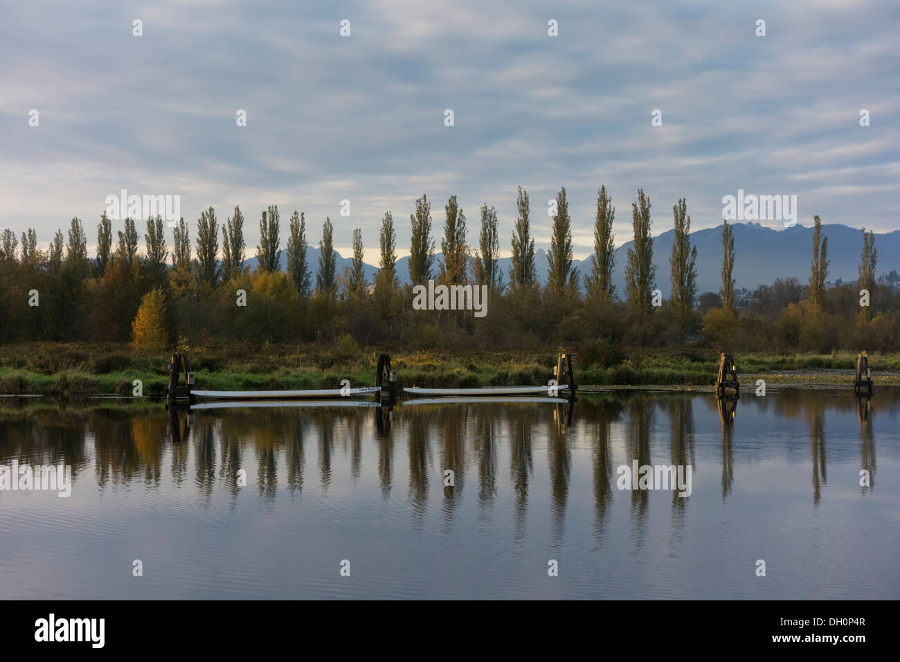 Burnaby lake, Burnaby, BC, Canada Stock Photo