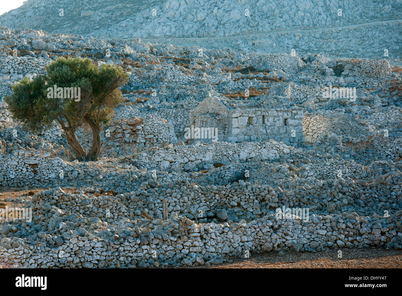 Griechenland, Dodekanes, Insel Chalki, steinige Berglandschaft mit Trockensteinmauern und altem Bauernhaus Stock Photo