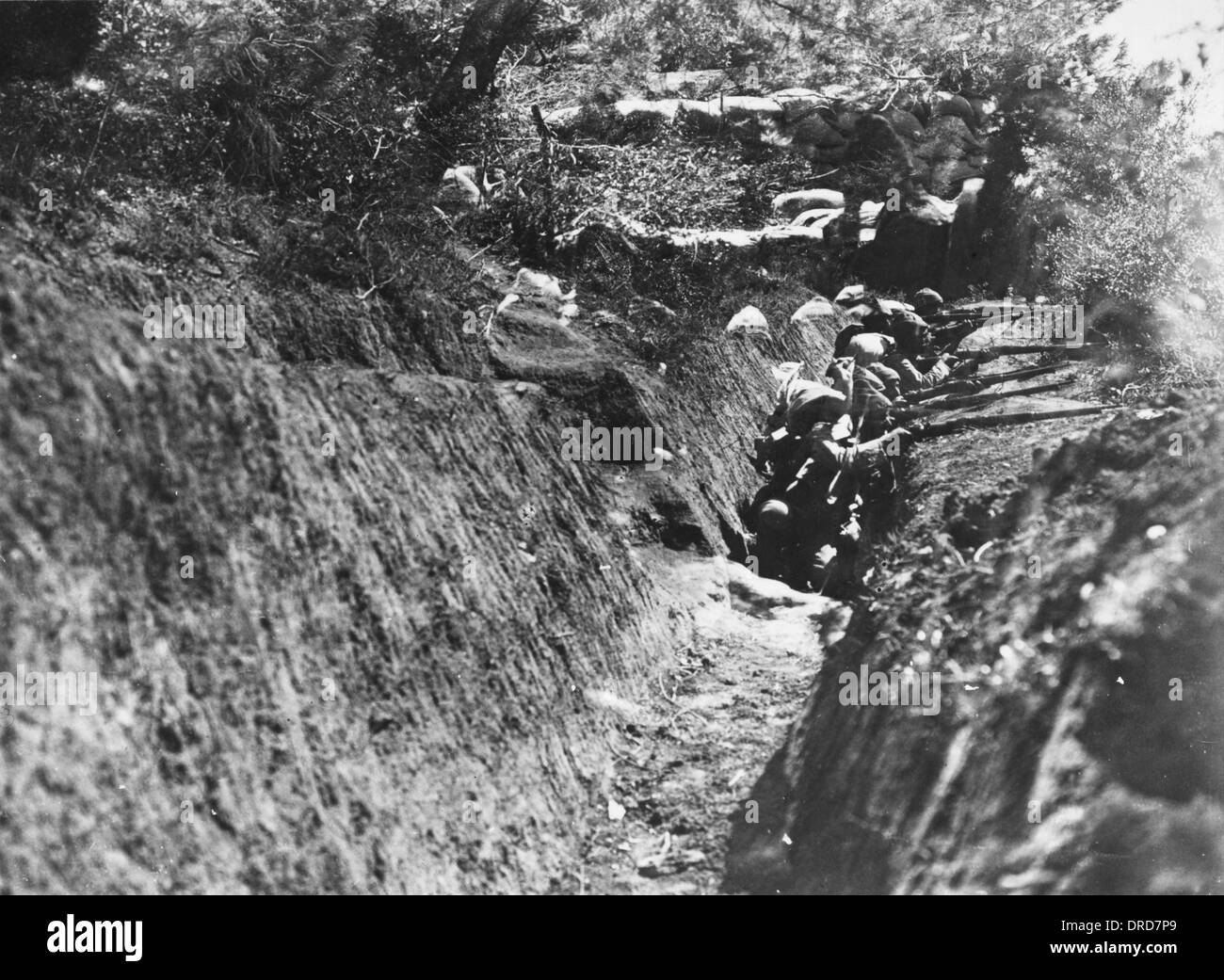 Gallipoli trench WWI Stock Photo