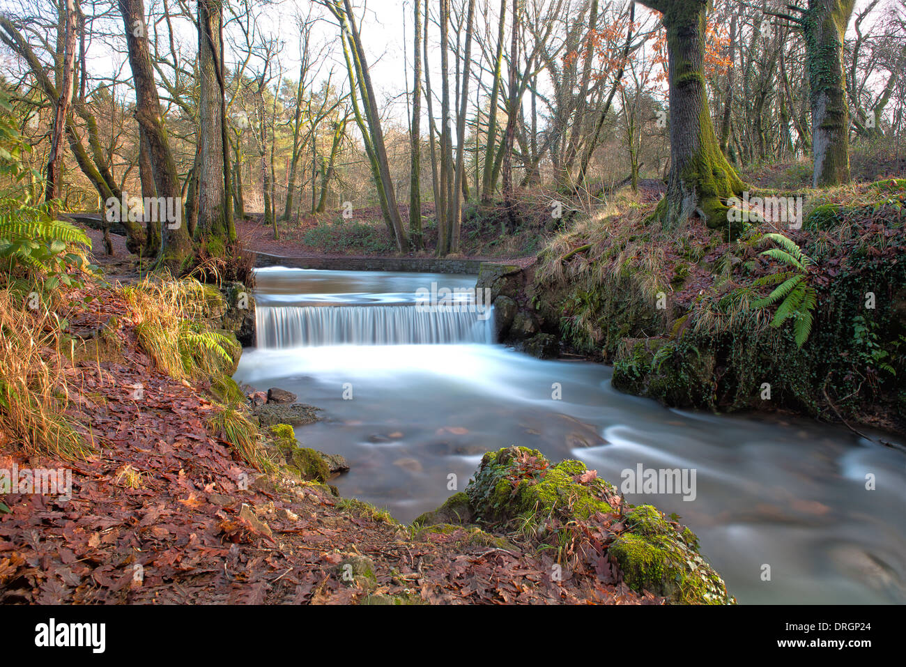 A Man-made Waterfall In Winter, The Forest Of Dean, Gloucestershire, England, Great Britain, Uk Stock Photo