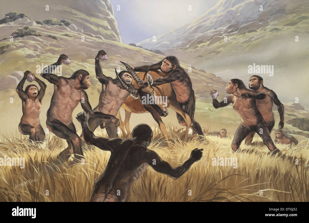 Homo habilis in action Stock Photo