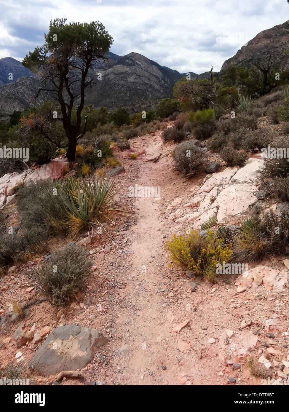 Hike through Red Rock Canyon Stock Photo