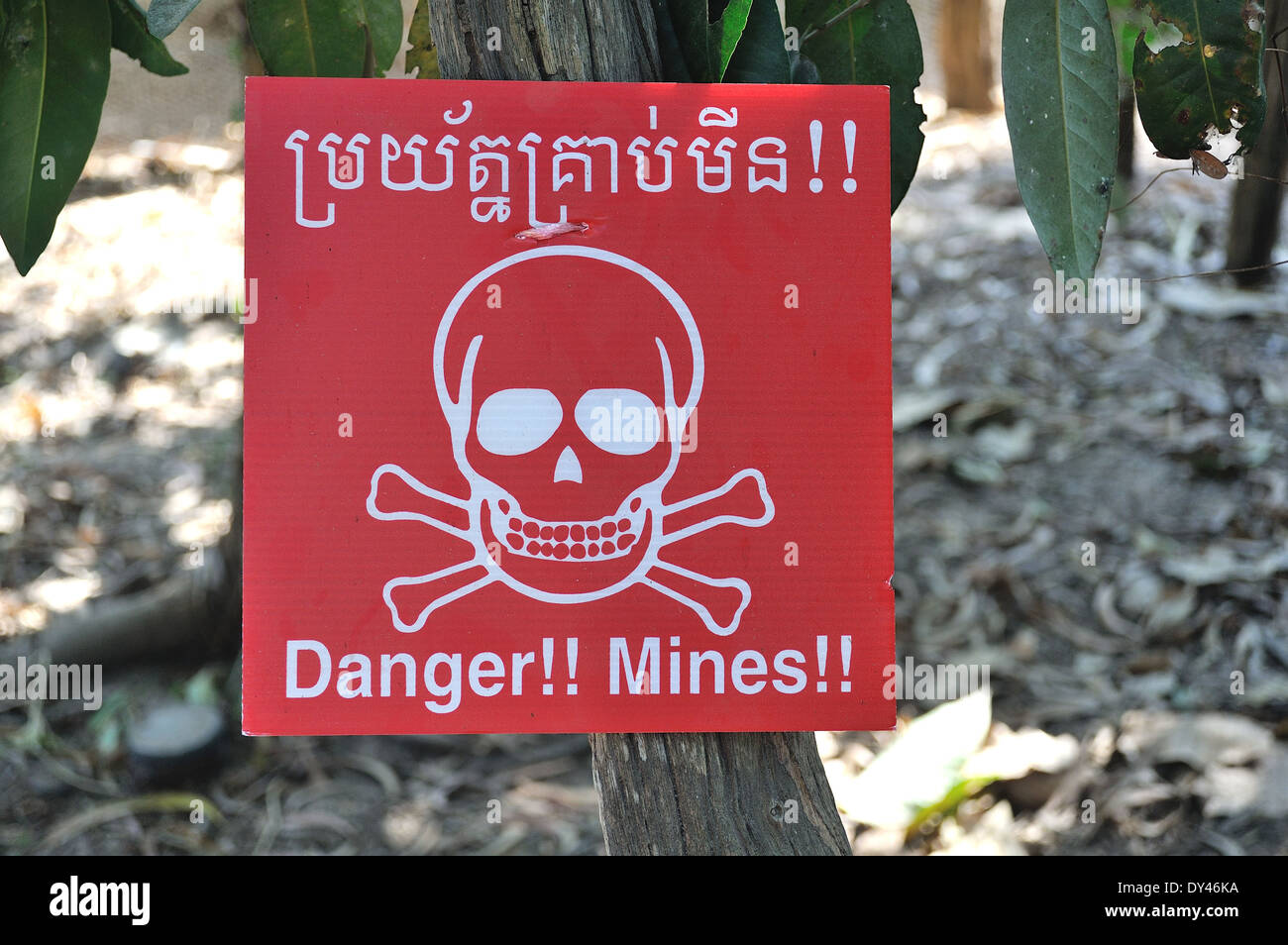 Blow Up Landmines In Cambodia