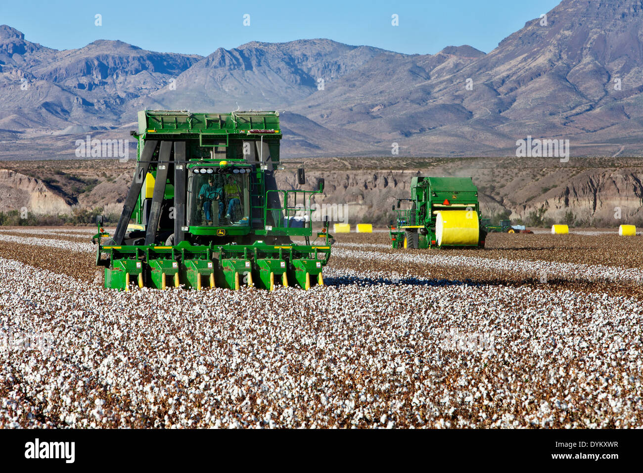 7760 John Deere Cotton Picker harvesting field. Stock Photo