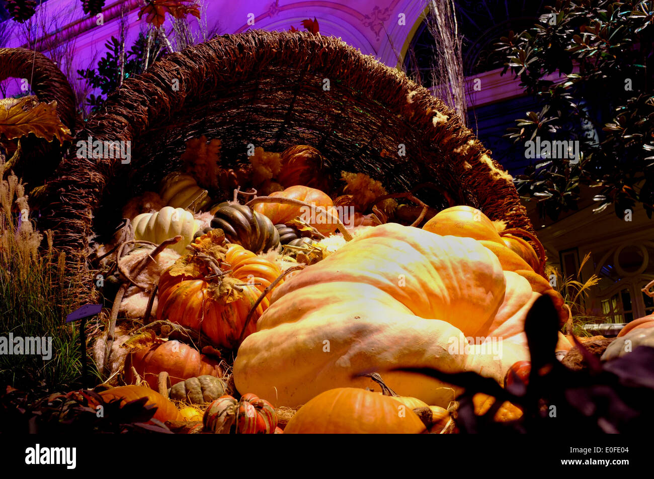 Halloween pumpkin display in a Las Vegas casino shopping mall Stock Photo