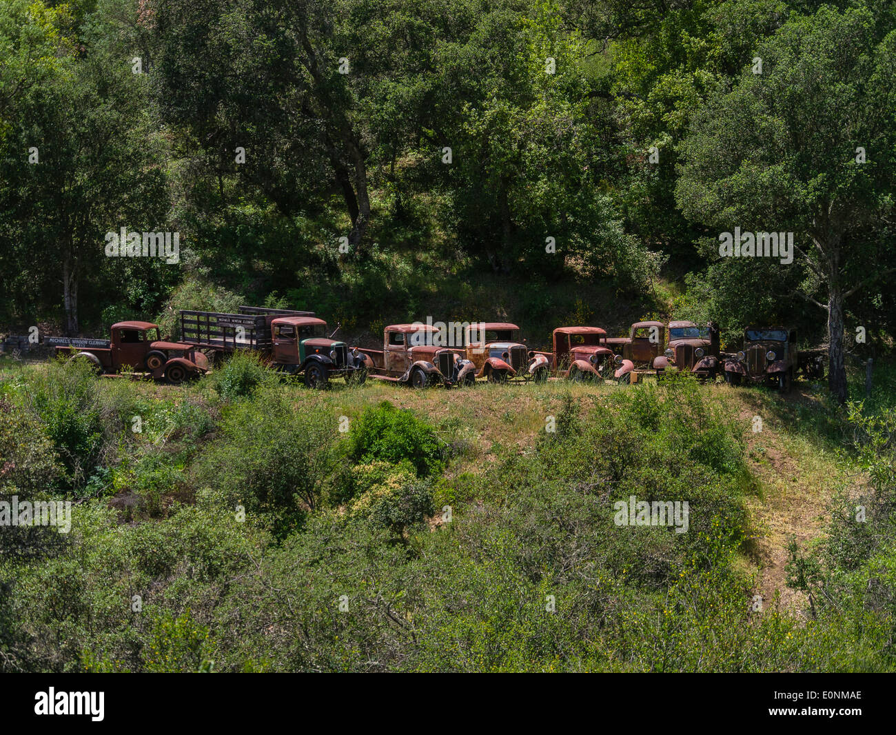 A row of 1930's dilapidated and rusting trucks lined up in Atascadero, California on a hillside surrounded by green trees and bu Stock Photo