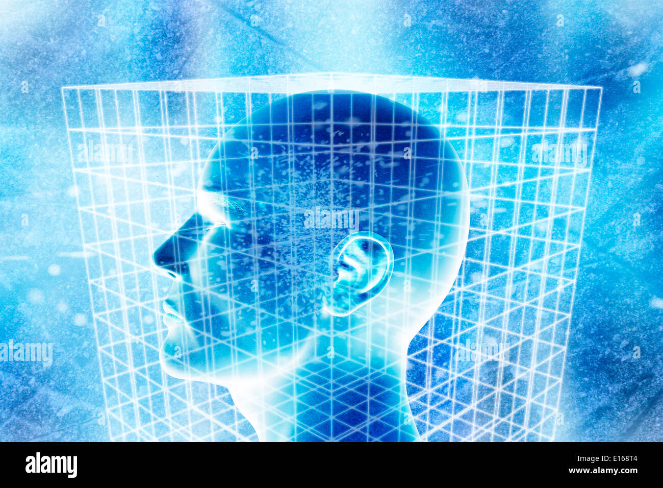 human head in a wired cube, conceptual illustration for science Stock Photo