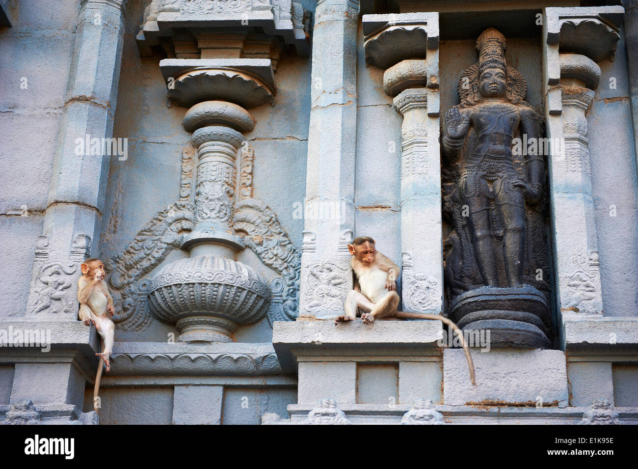 India, Tamil Nadu, Kanchipuram, Kamakshi Amman Stock Photo