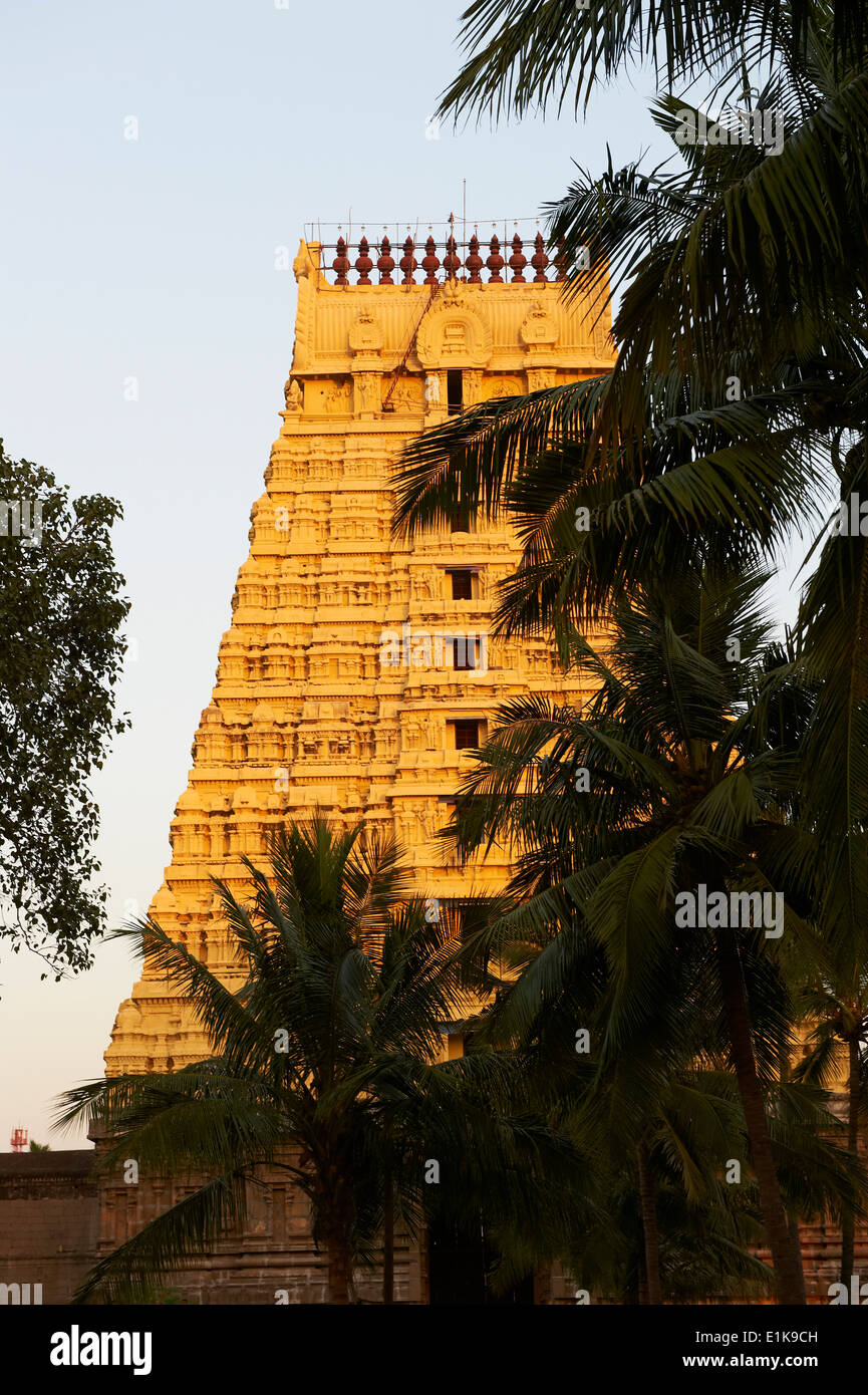 India, Tamil Nadu, Kanchipuram, Devarajaswami temple Stock Photo