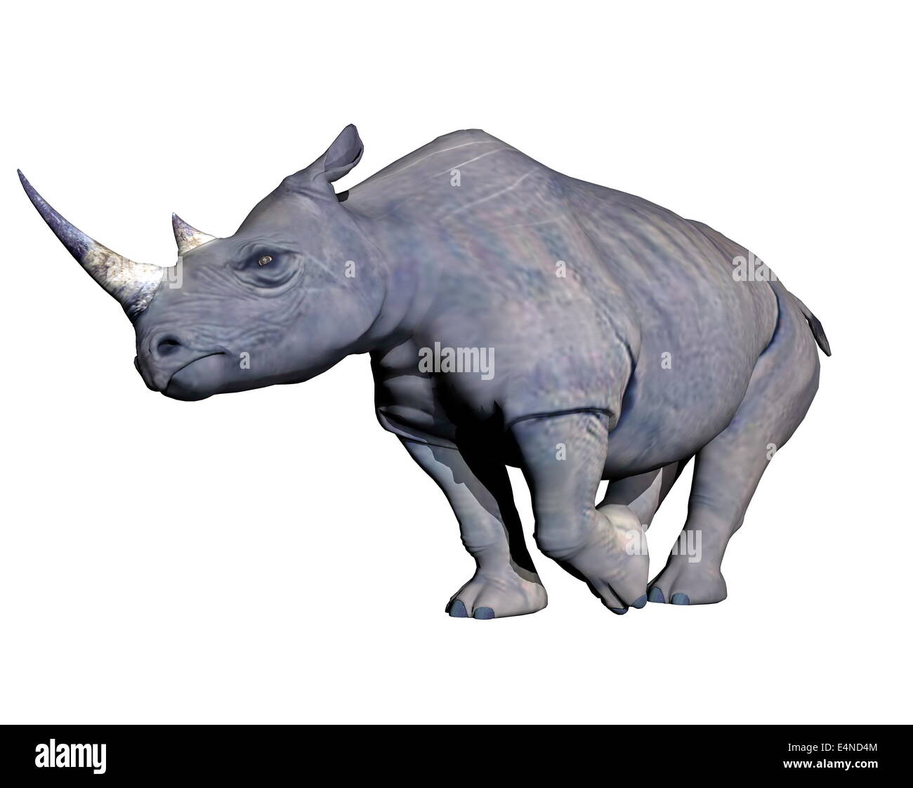 Rhinoceros charging Stock Photo