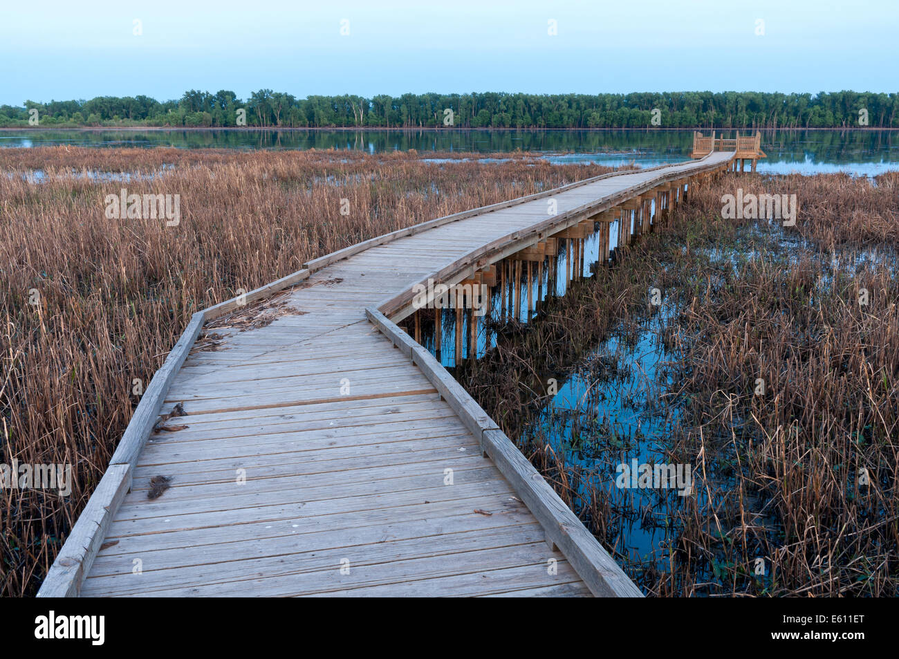 Marsh and boardwalk along Minnesota River in Minnesota Valley National Wildlife Refuge of Bloomington Minnesota Stock Photo