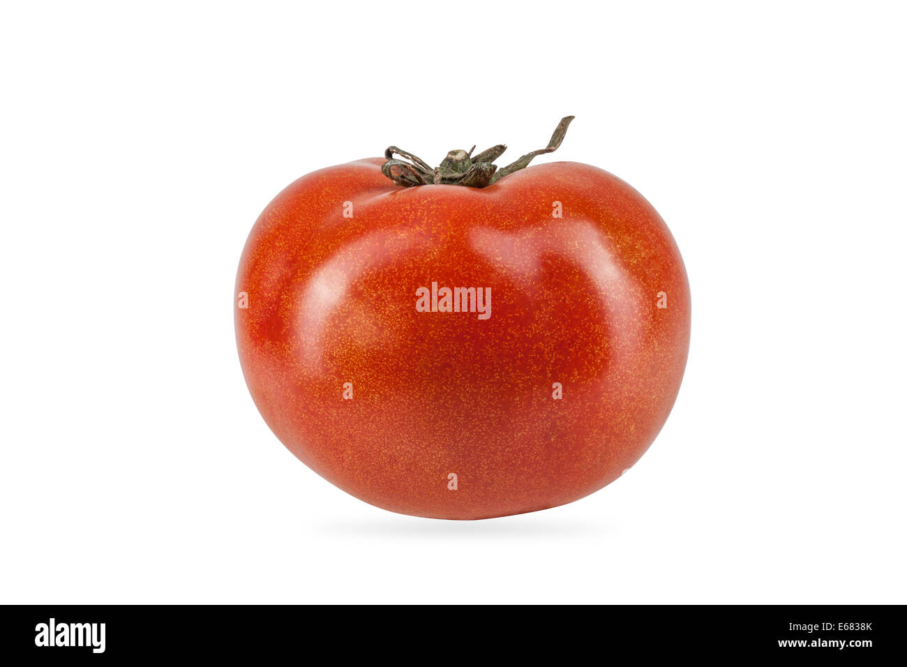 Fresh Tomato Stock Photo