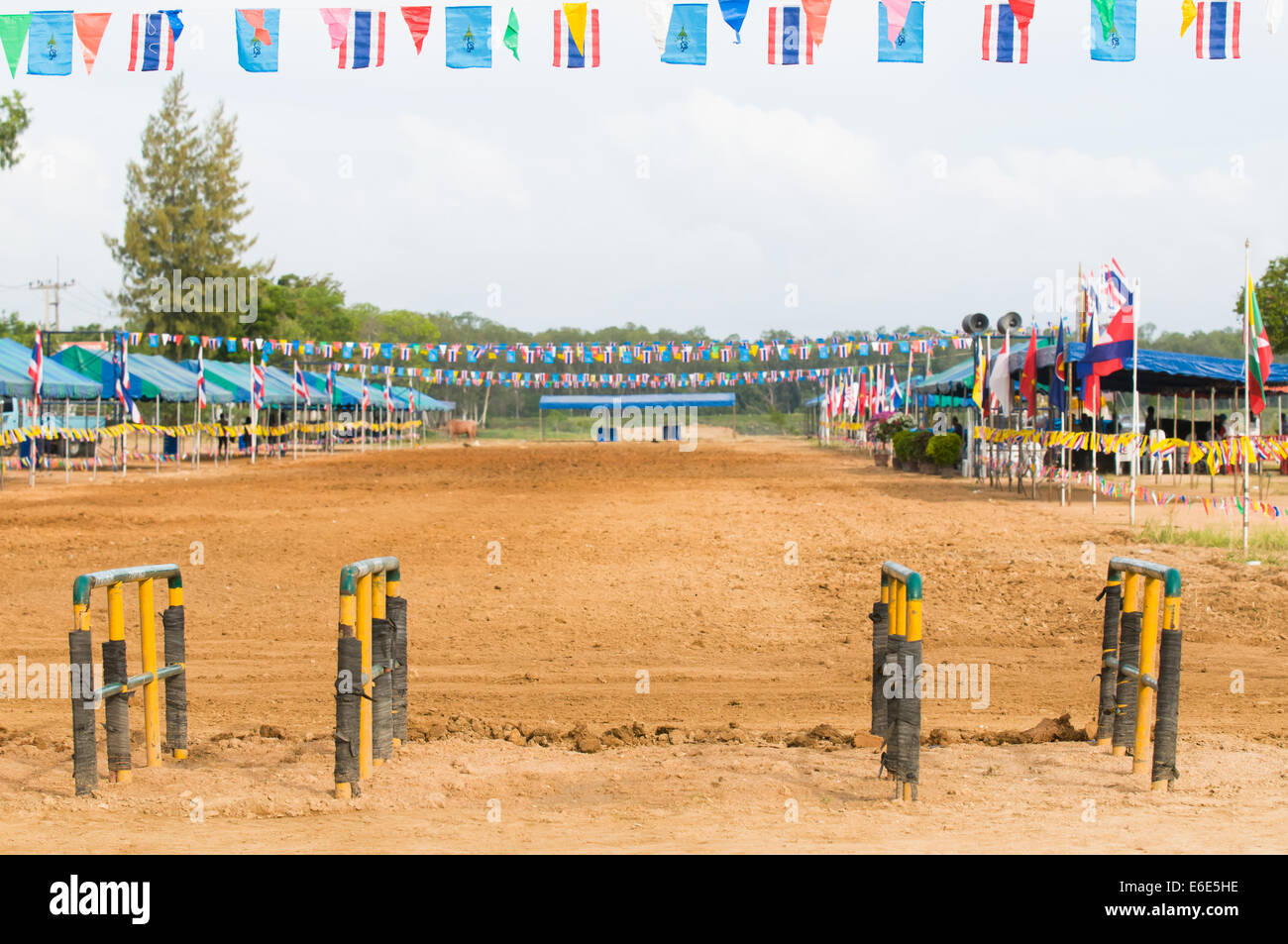 Buffalo race track in Chonburi, Thailand, decorated with flags from Thailand, the Thai Royal Family and the ASEAN countries. Stock Photo