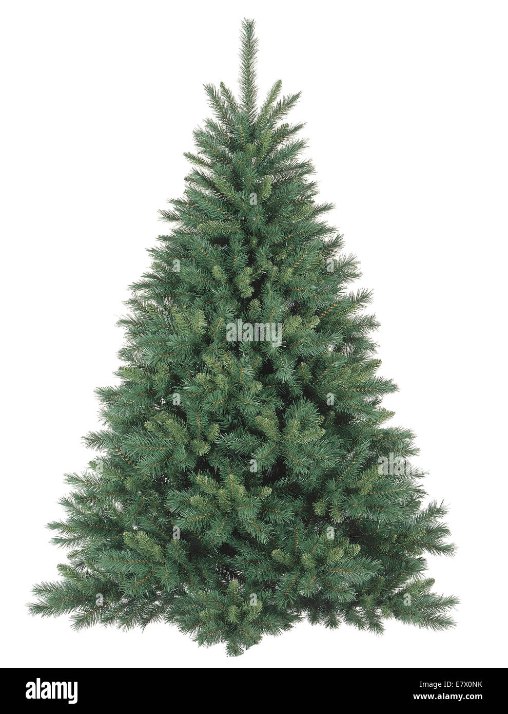 Christmas tree without ornaments Stock Photo