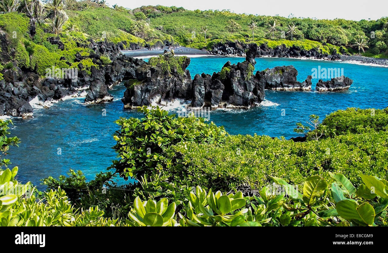 Hawaiian Getaway Stock Photo