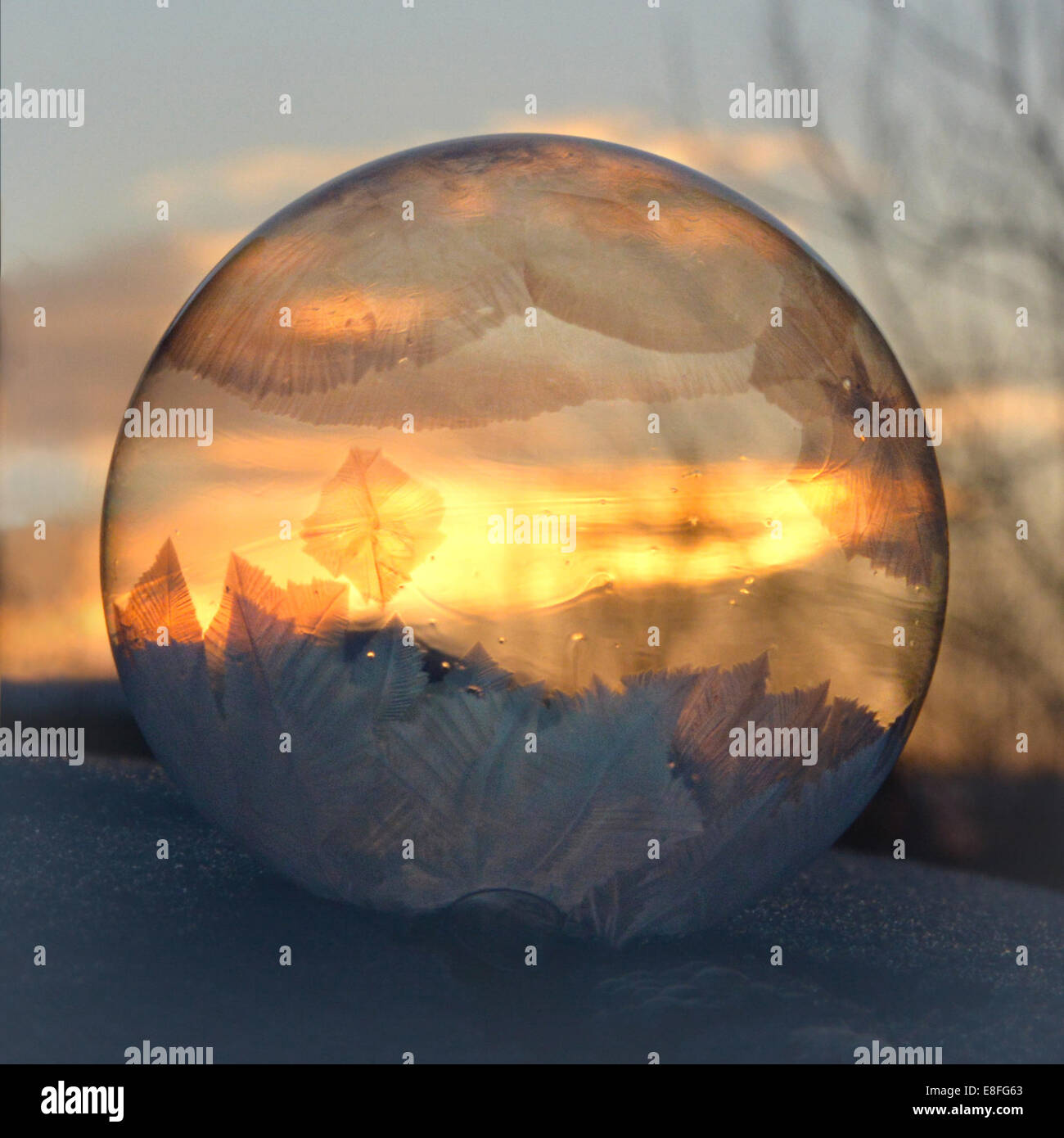 Frozen soap Bubble at sunrise, Colorado, United States Stock Photo