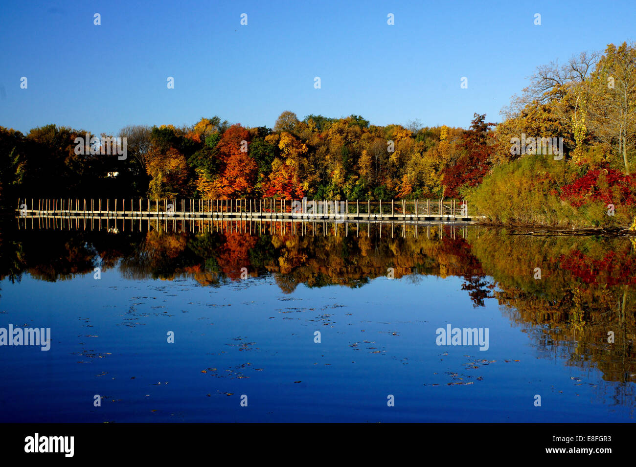 USA, Minnesota, Scott County, View of Prior Lake in autumn Stock Photo