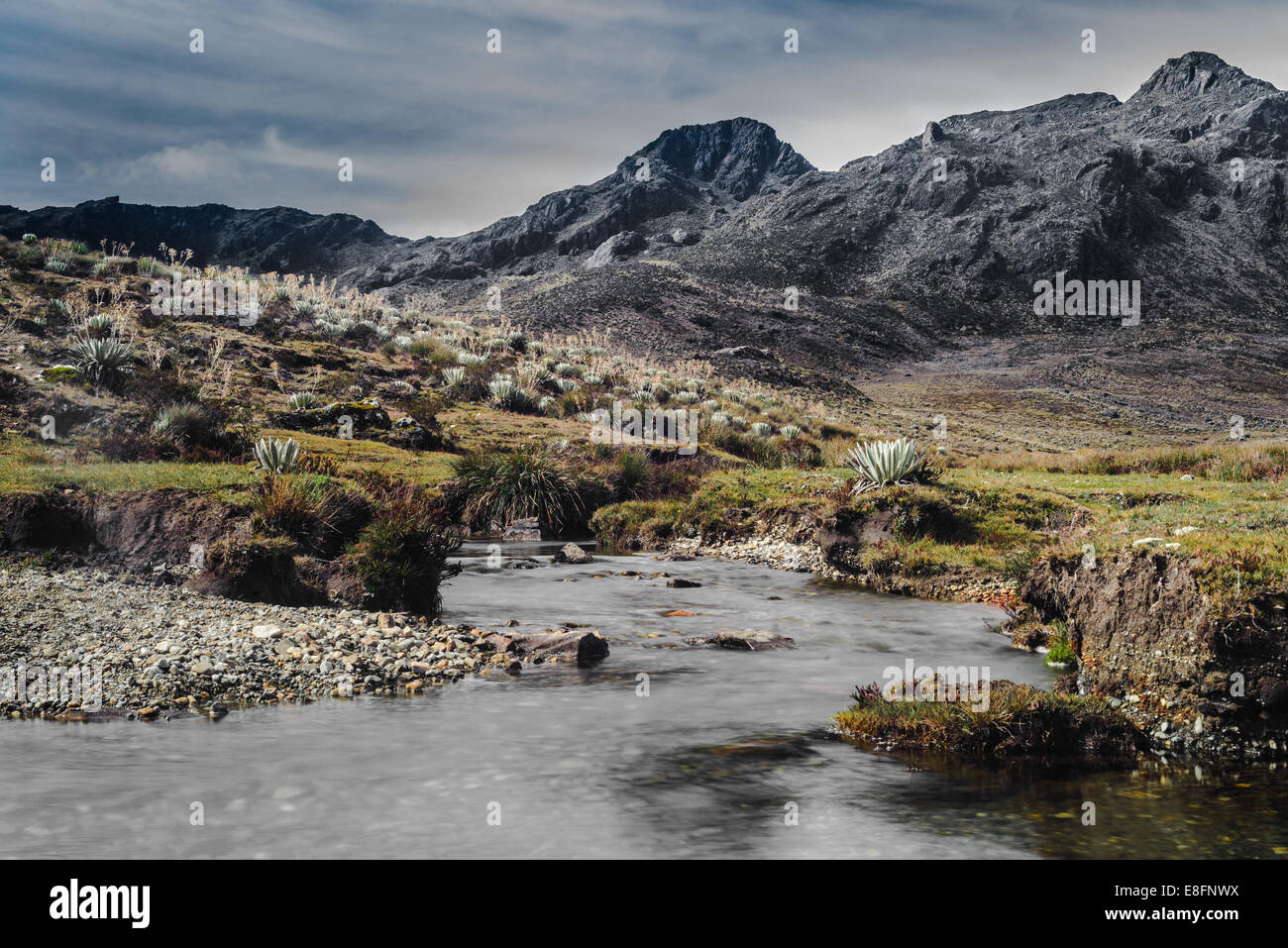 Venezuela, Andes Mountains, Landscape Stock Photo