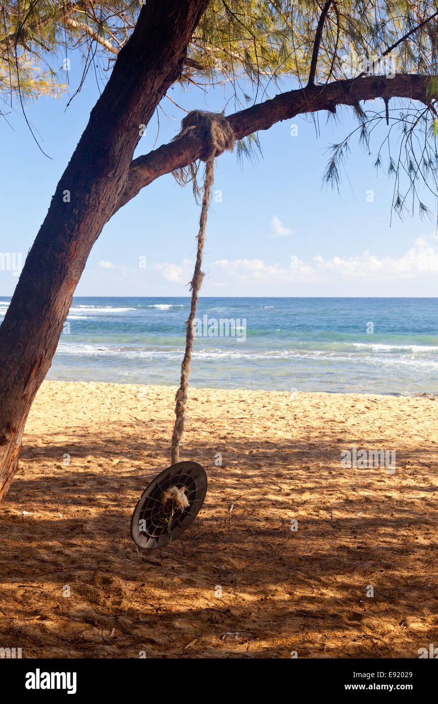 Rope swing on beach by ocean Stock Photo