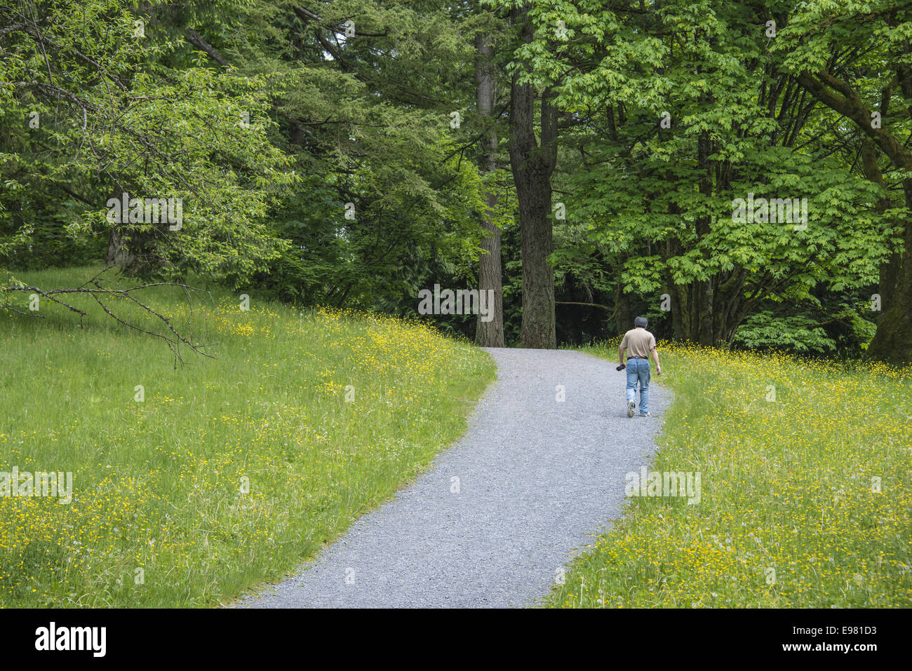 Burnaby mountain park, Burnaby, British Columbia Stock Photo