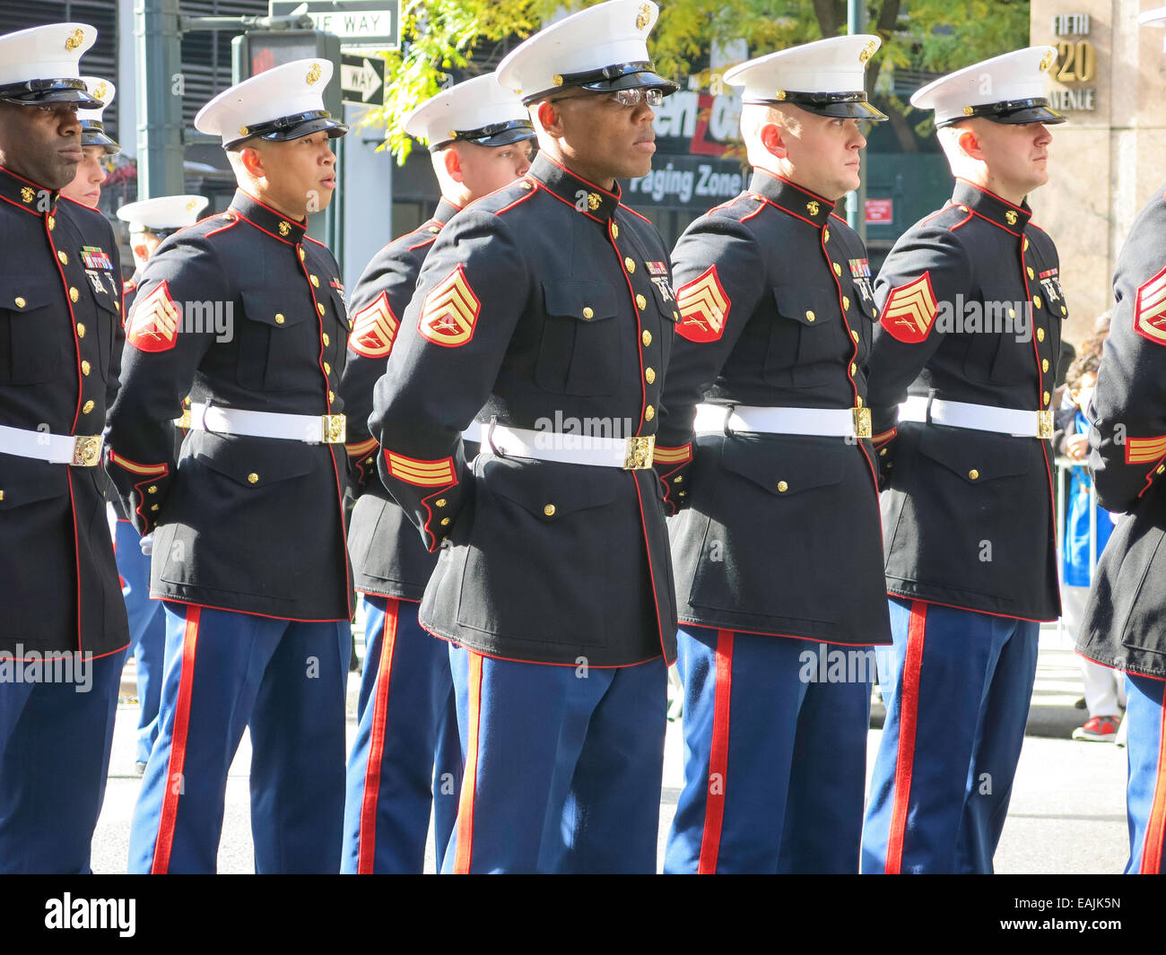 Veterans Day Parade on Fifth Avenue, NYC, USA Stock Photo