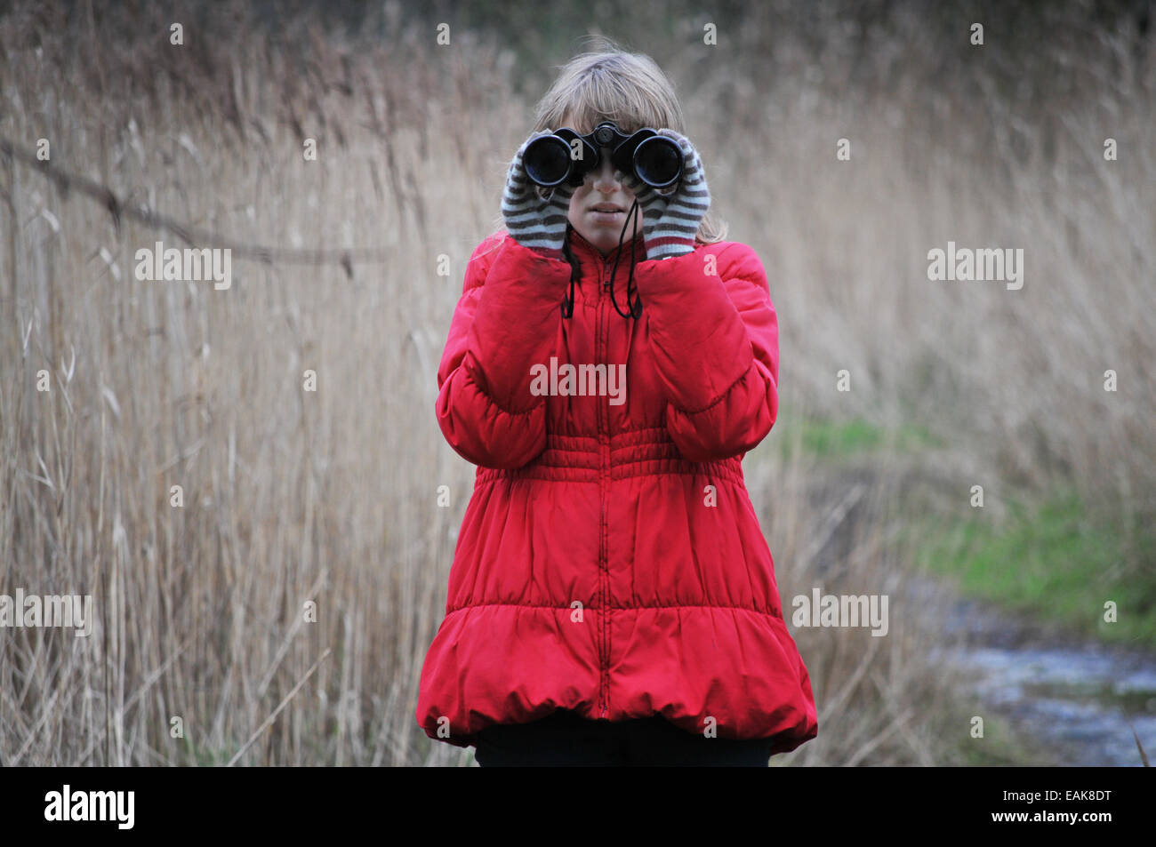 A 12 year old girl looking for birds through a pair of Binoculars Stock Photo