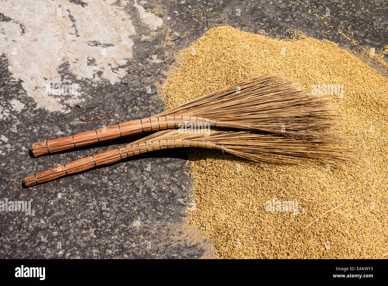 Straw brooms used for raking drying rice on a closed road in Tra Vinh, Mekong Delta, Vietnam. Stock Photo