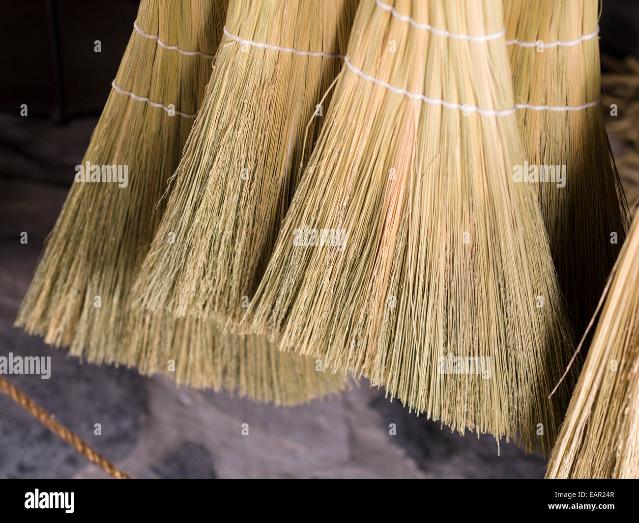 The cut ends of handmade corn brooms. Hand made brooms made in a little shop in Upper Canada Village. Stock Photo