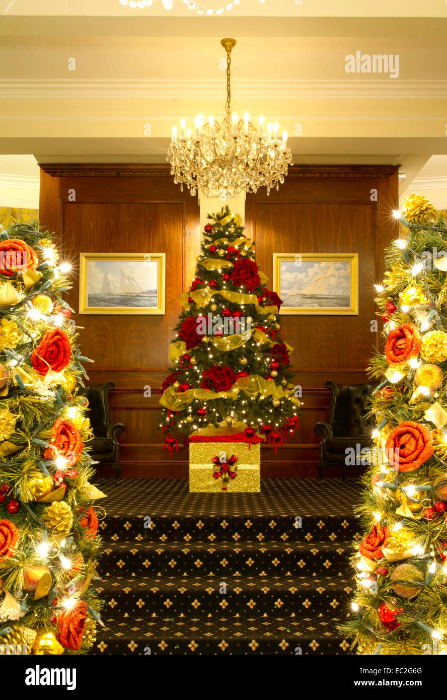 Christmas trees entrance hotel hi-res stock photography and images ...