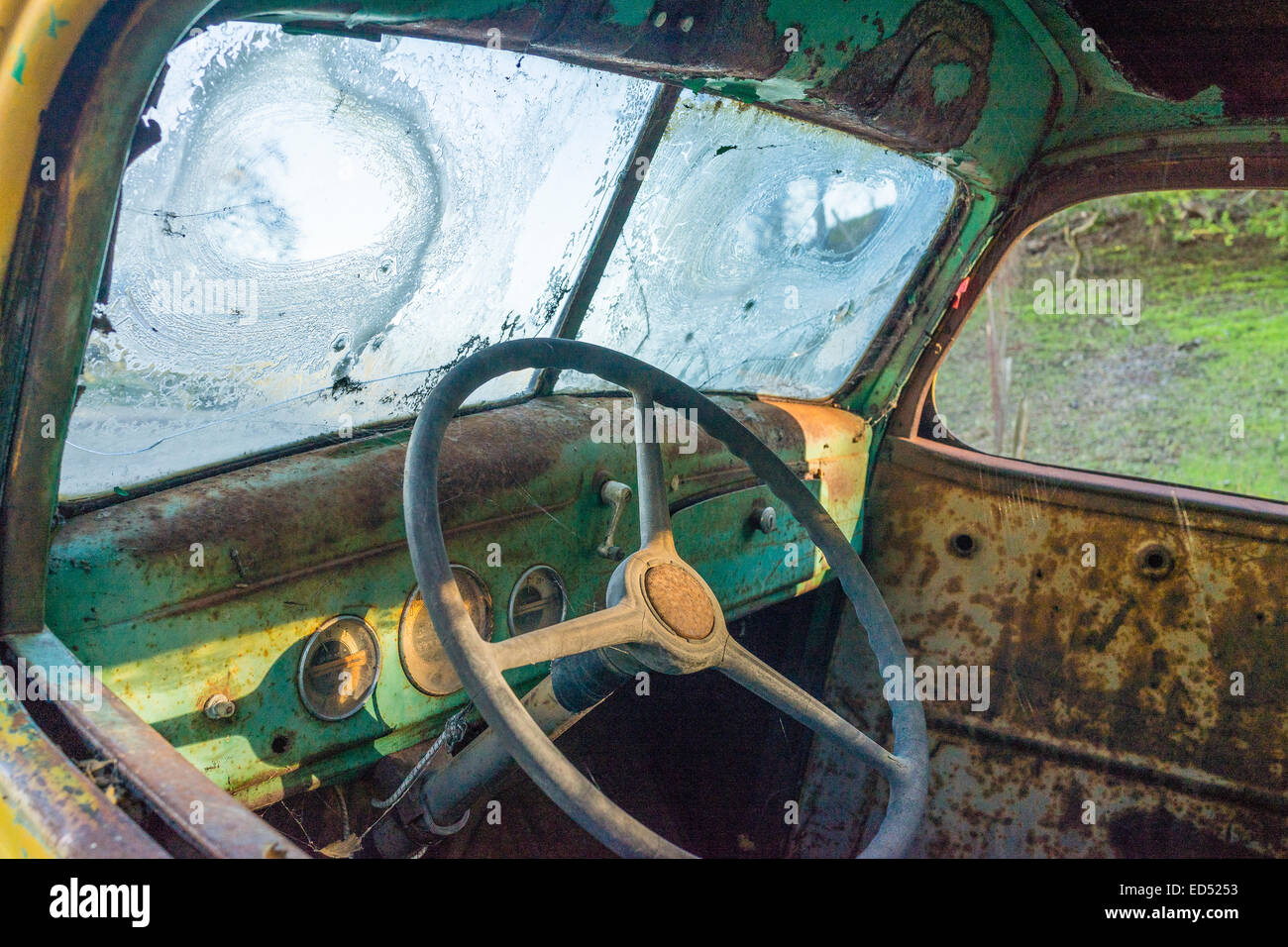 The interior of the cab, including the dashboard and the steering wheel of an old abandoned truck rusts away in a forest. Stock Photo