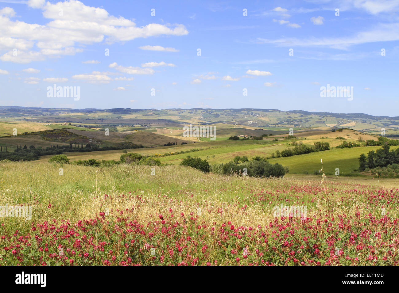 Europa, Italien, Toskana, Val d Orcia Stock Photo