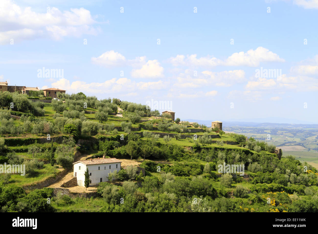 Europa, Italien, Toskana, Montalcino Stock Photo